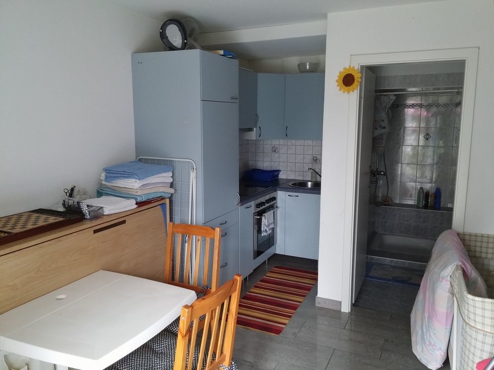 Apartment Alina Sigirino 外观 照片
